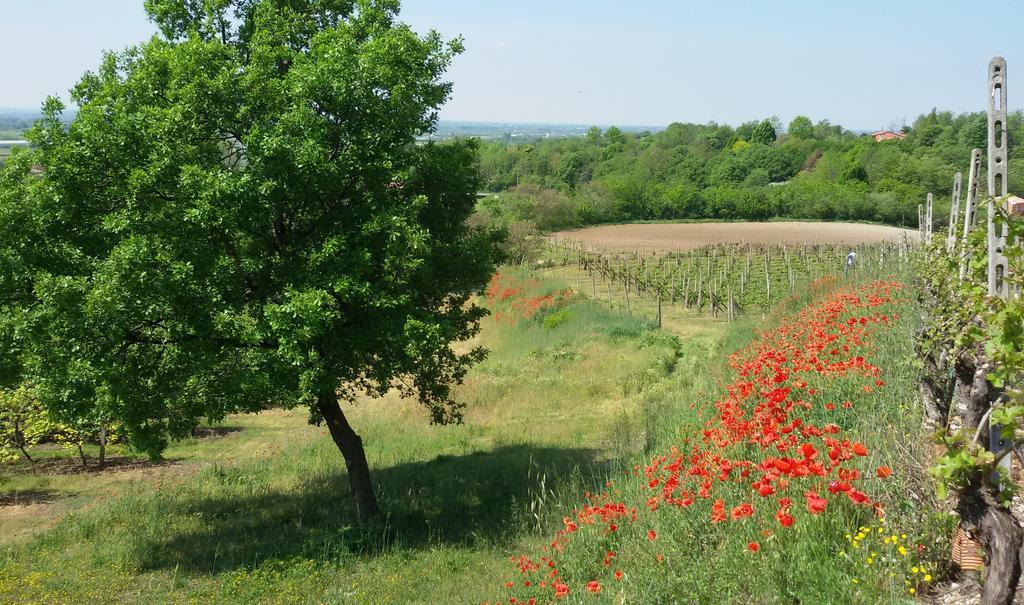 Agriturismo La Torretta Da Valentina Сольферино Экстерьер фото